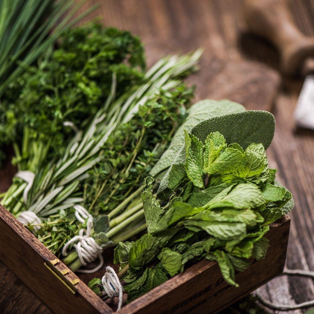 Herbes magiques et leurs utilisations