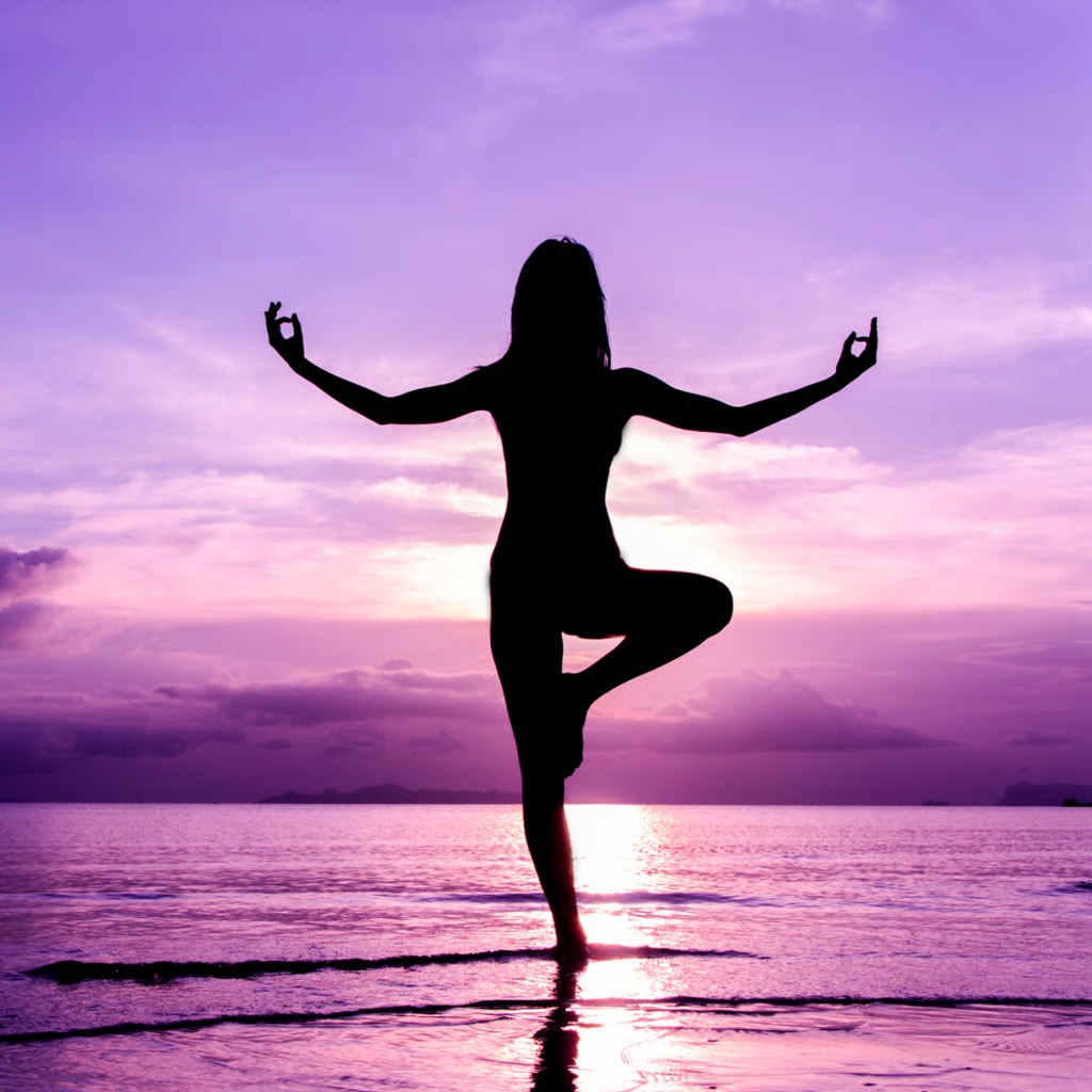 Introduction à la pratique de la méditation