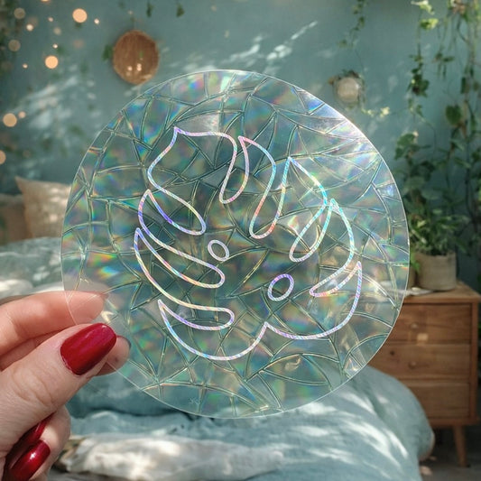 Feuille Monstera Vide 🌈 Suncatcher Sticker 🌈 Autocollant Magique Attrape-Soleil
