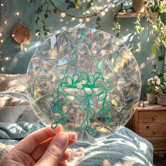 Succulente suspendue  🌈 Suncatcher Sticker 🌈 Autocollant Magique Attrape-Soleil